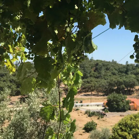 Casa Da Nave 乡村民宿 蒙希克