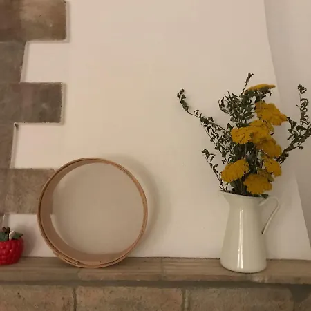 Casa Da Nave *